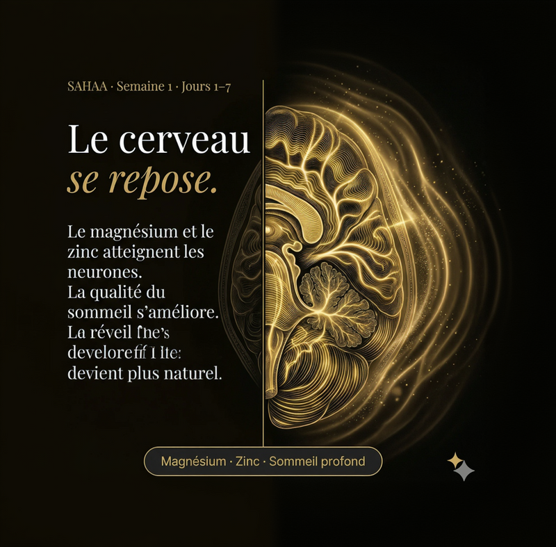 Les premières sensations